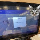 아라영평점 기아오토큐 | 인천본점에서 먹는 이비가짬뽕은 뭐가 다른가? 네; 달라요; 이비가짬뽕 인천본점 솔직후기