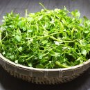 천포회관 식당