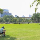 봉황대공원(주차장입구) 이미지