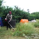 제주시농협동부주유소 이미지