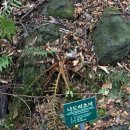 교래자연휴양림 이미지