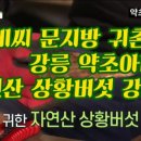 주식회사 약초마을 이미지