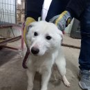 은산3길 이미지