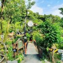 산속비버스 이미지