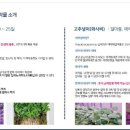 복합농장 이미지