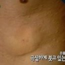 원플레이트스탠다드키친