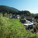 산수리 마을회관 이미지