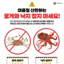 동해-단속-50 | 6월 강원도 당일치기 2편: 속초 장사항 스노클링 바다수영, 수온 및 시야 &amp; 어나더블루 카페 후기