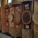 충청남도 산림박물관 이미지