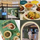 라파아이비젼 | 용산역 비건인증레스토랑 플랜튜드 아이파크몰 용산점 서울여행 맛집!