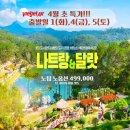 나트랑 초특가 499,000(비엣젯) -출발 4/1, 4/4, 4/5 이미지