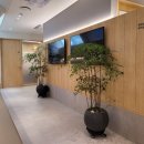 에이비한의원 이미지