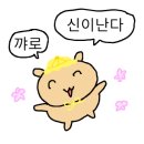 글로우하우스 네이버블로그