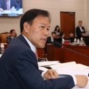 회성종합시장 창원일보