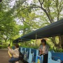 🌸가족과 함께한 남이섬 &amp; 광명동굴 1박 2일 여행 후기🌸