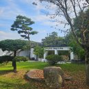 까페능소화 | 막찍어도 화보가되는 포토스팟 인생샷 감성카페 충주 능소화카페 찐으로 반해버린 후기(주차,메뉴,감성)