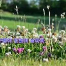 자연의소리