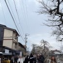 나고야 두번째 여행 | 작은 교토 다카야마&amp;시라카와고 투어 후기