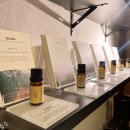 아우토그라프 이미지