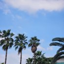 상상S2 호텔 | 추석연휴 엄마랑 샤먼 3일차 - 구랑위섬, 창펀, 망고빙수, 샹산 베이징덕, 팝마트 쇼핑