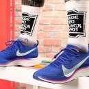 AJ 아쿠아 이미지