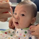 스푼 | 이유식 스푼 추천 모윰 한입 초기 이유식 스푼 사용후기