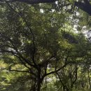 솜반천로46번길 이미지