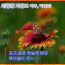 캡컷 세월 6 이미지