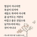 꽃소년 이미지