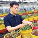 클로버농장 이미지