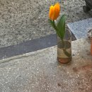 하단동1142 | 오랜만에 부산 광안리 해수욕장과 ❦포춘쿠키❦ 서면 플로레스타•그램파•도피오커피•을숙도 생태공원...