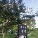 강릉은가비펜션 | 강릉 숙소추천 은가비펜션 애견동반 가능한 펜션, 3인 숙소, 바베큐 후기