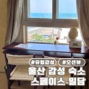 울산 감성 숙소 : 스페이스 밀담 (정자 바다를 바라보며 휴식을, 커플 숙소 추천)
