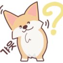 미미용품