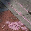 주정차45 이미지