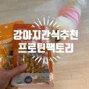 비트 | 애견간식추천 단백질 풍부하고 알레르기 걱정 없는 프로틴팩토리 토이비트 후기