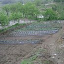 바위농장 이미지