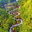 단양의 아름다운 길 / 보발재 이미지