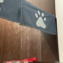 사랑스럽댕 이미지