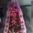 성정로 Daum카페