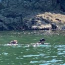 JJ펜션 민박 이미지