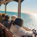 중1동-1 | 해운대 블루라인파크 코스 시간표 부산 해변열차VS스카이캡슐 예약없이 타는 꿀팁