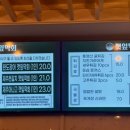 진도막회 이미지