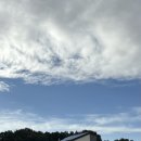 야미하우스 이미지