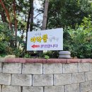 대부도 캠핑장 추천/ 서울근교 캠핑장/ 대부도캠핑/ [아라뜰캠핑장]
