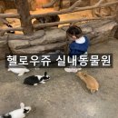 구야목장 | 비 오는 날에도 OK! 울산아이와가볼만한곳 헬로우쥬 실내동물원