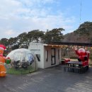 카페인하원 이미지