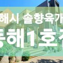 솔향육개장