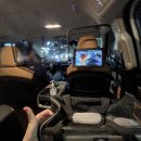 펫리무진택시-하리블랙 | 아이엠택시 애견 동반으로 첫 이용 후기 / 카카오택시 먹통