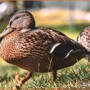 스마트폰 왕초보 이미지